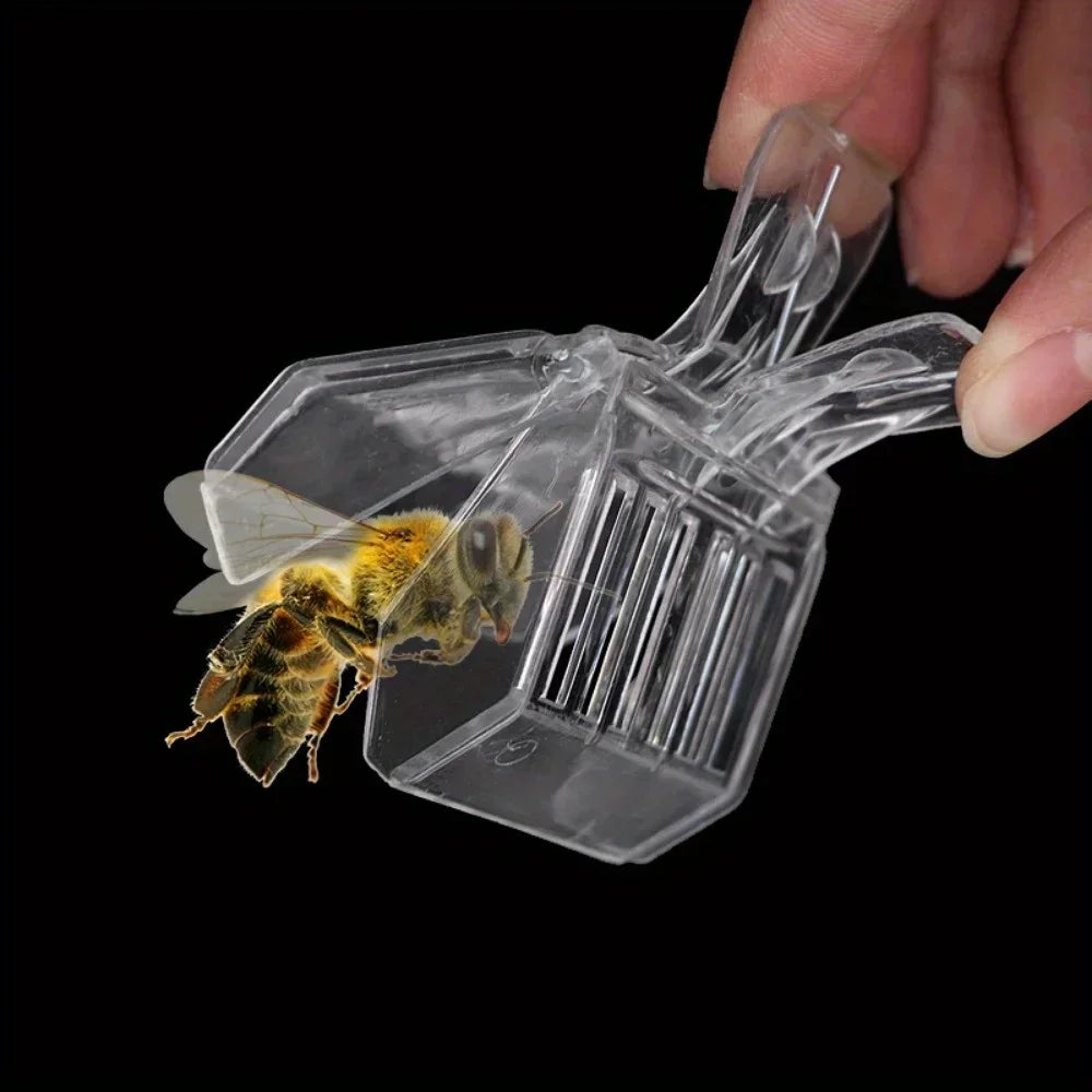 Hochwertiger Bienenzucht Käfig für Bienenkönigin - Praktisches Werkzeug