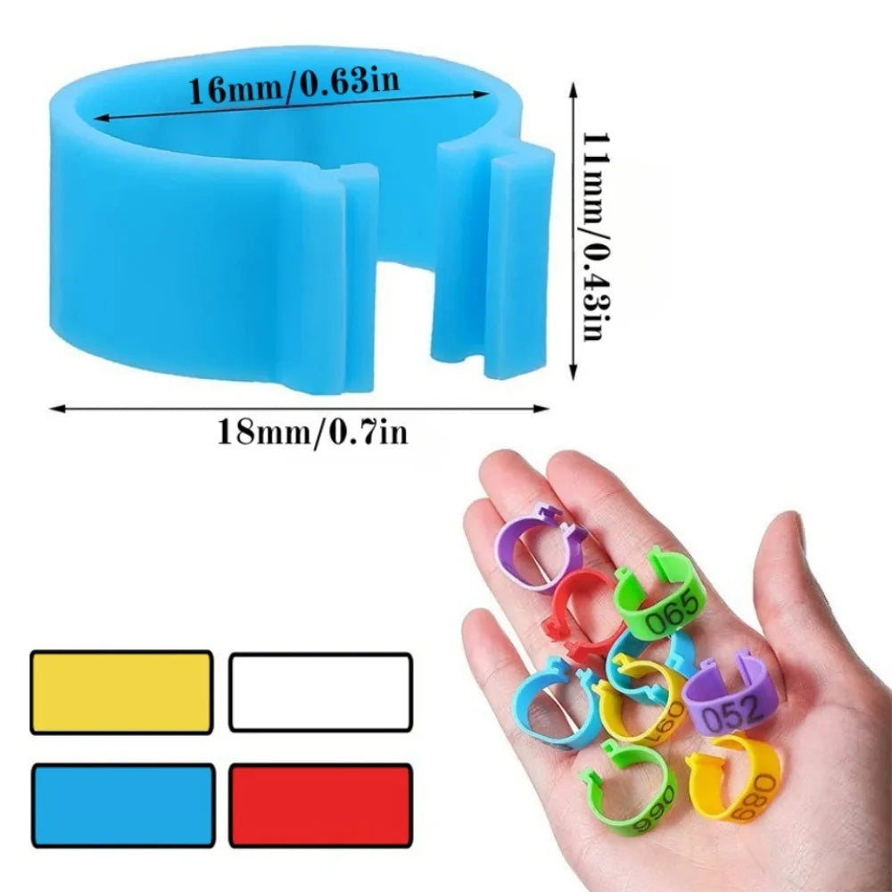 Mehrfarbige nummerierte Hühnerfußringe 1,6 cm 10 bis 50 Stück