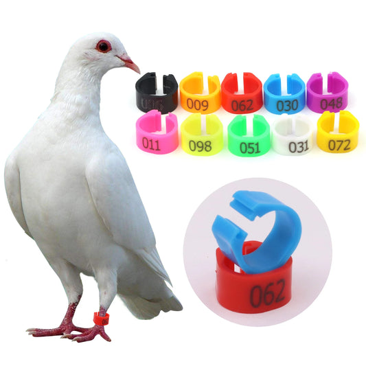 100 bunte Kunststoff-Fußringe 8 mm für Vogel-Training und Identifikation