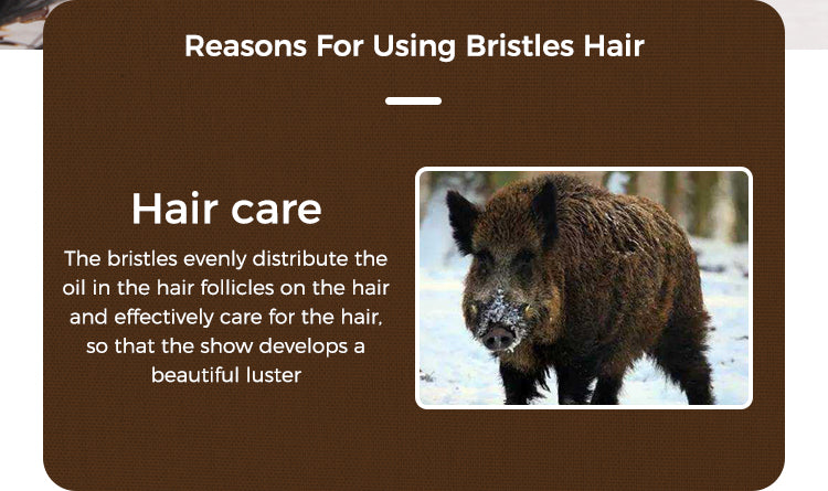 Natürlicher Wildschwein Borsten Haar Kamm mit Holzgriff