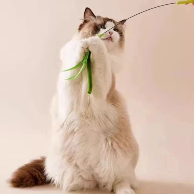 Bissfester Katzen-Teaser Zauberstab mit Federn für interaktives Spiel