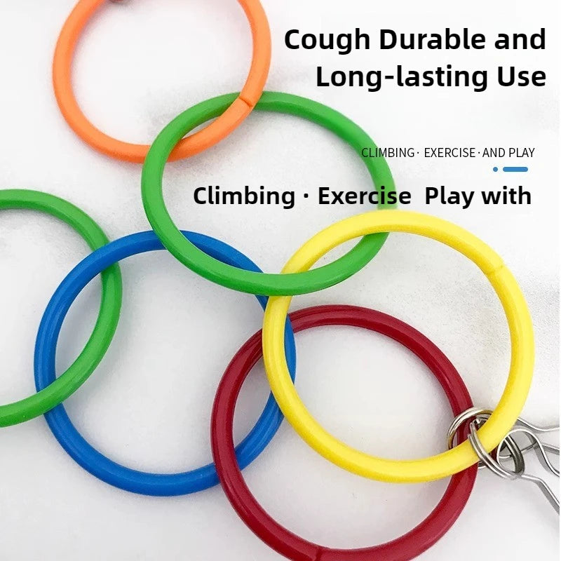 Bunte Papageienschaukel mit Glocken Sound für Vogelkäfig Zubehör