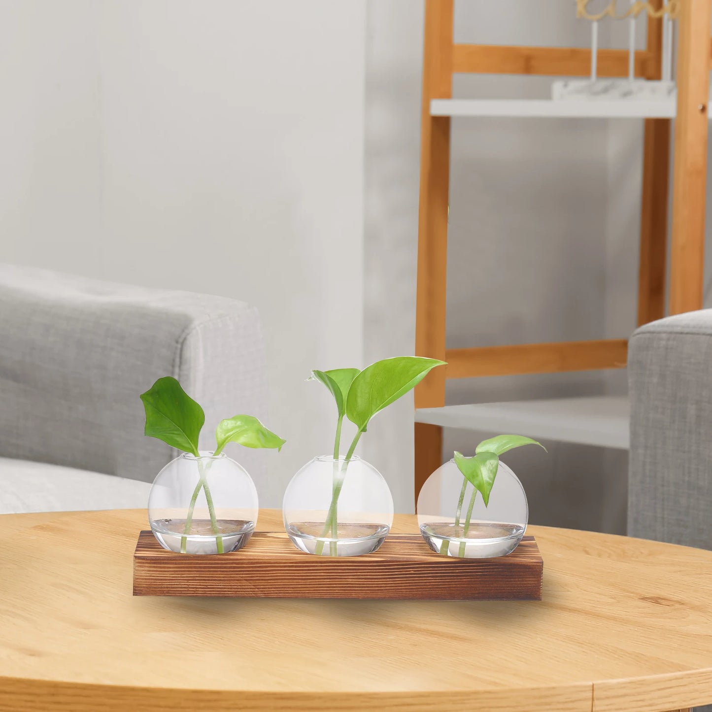 Dekoratives Glasvasen Set mit Holztablett für Pflanzenzucht