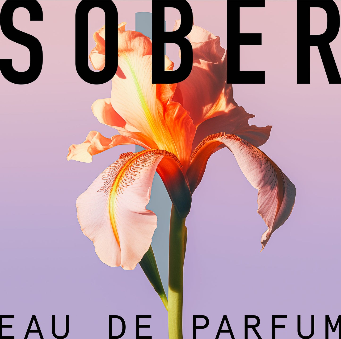 Discovery Set Floral mit fünf Unisex Düften und 20 Prozent Gutschein-sober