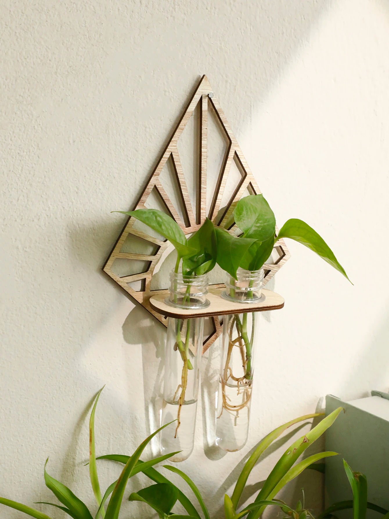 Wandmontierte Vermehrungsstation aus Holz für Hydrokultur Pflanzen