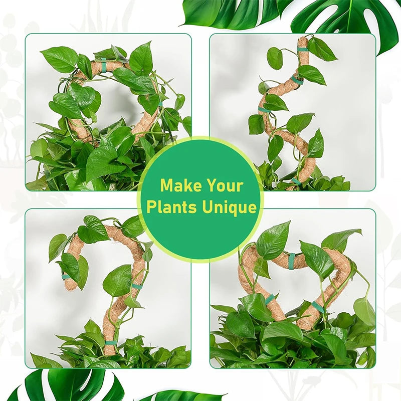 Biegsame Pflanzen Kletterhilfe aus Kokosfasern für gesundes Wachstum