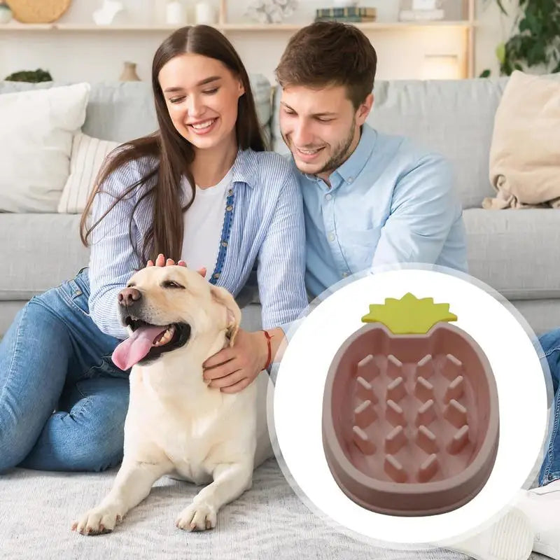 Langsamer Futternapf Tiere Ananas Design Puzzle Futterspender große Hunde