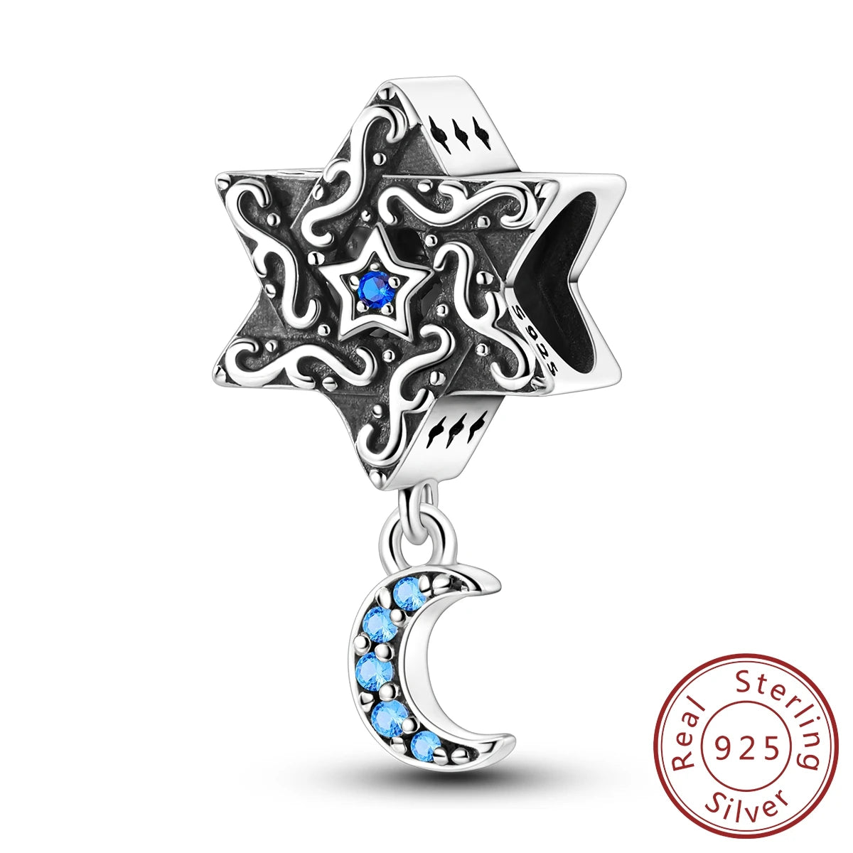 925er Sterlingsilber Charms mit Zirkon – Familie, Hund - Sternenhimmel Set