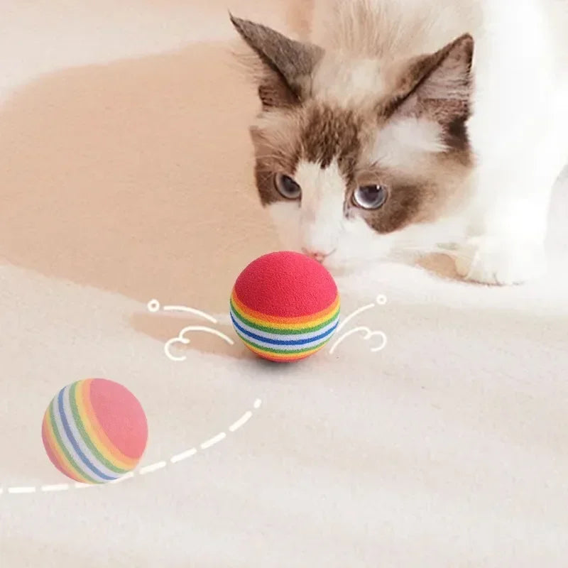 Interaktive Regenbogen EVA Spielbälle für Hund und Katze zum Training