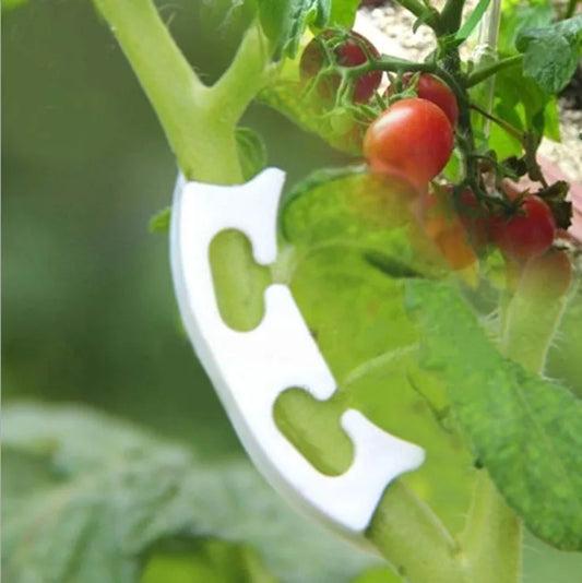 Kunststoff Pflanzhalter Clips für Garten Reben und Tomaten Stiele