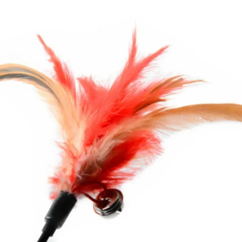 2er Set Interaktives Katzenspielzeug Feder Glocke für Katzenspielspaß