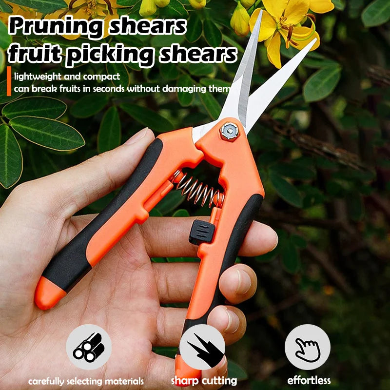 Präzisions Gartenschere für Blumen Bonsai Obstpflücken und Jäten Variantenwahl