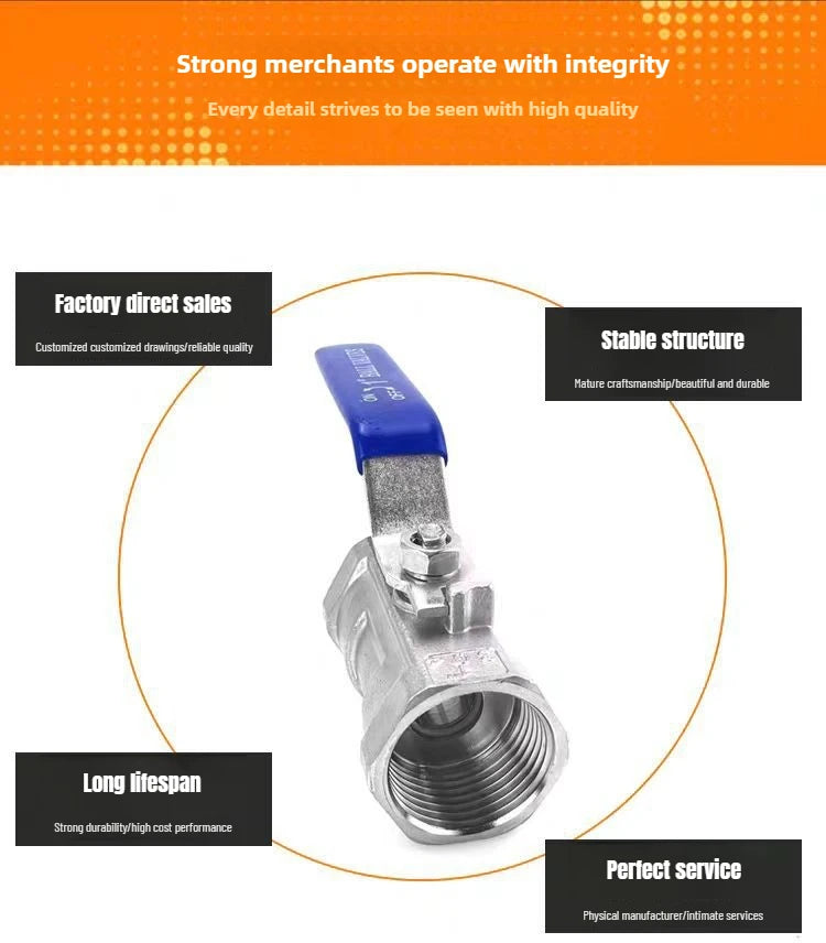 Robuste Edelstahlkugel für Ventile mit Vinylgriff und BSP-Gewinde