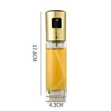 100ml Öl Sprühflasche Edelstahl - Präzises Küchenspray für Olivenöl