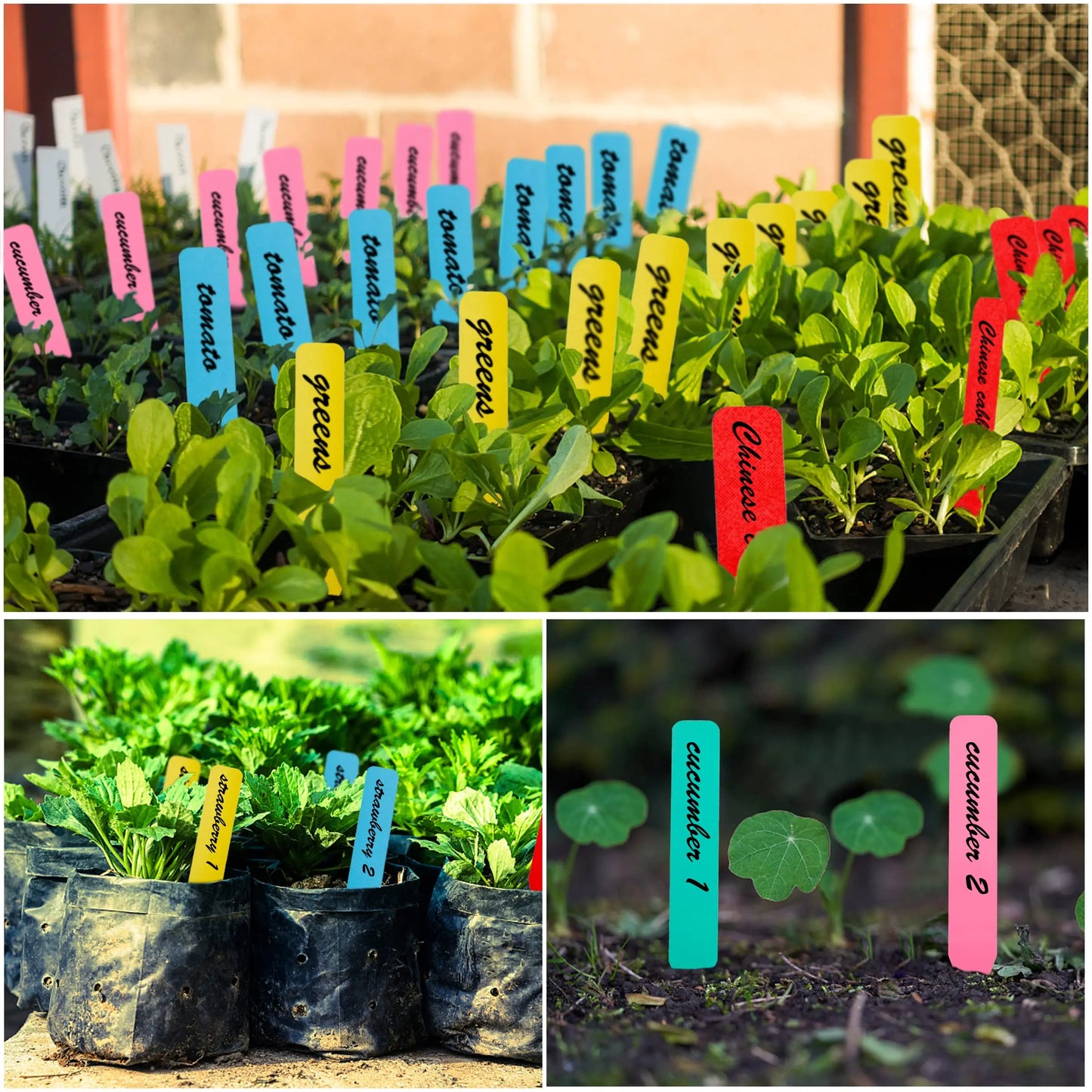 100 Stück Pflanzen-Namensschilder 10,2 cm aus Kunststoff für Garten und Setzlinge-Yabubest - Home & More
