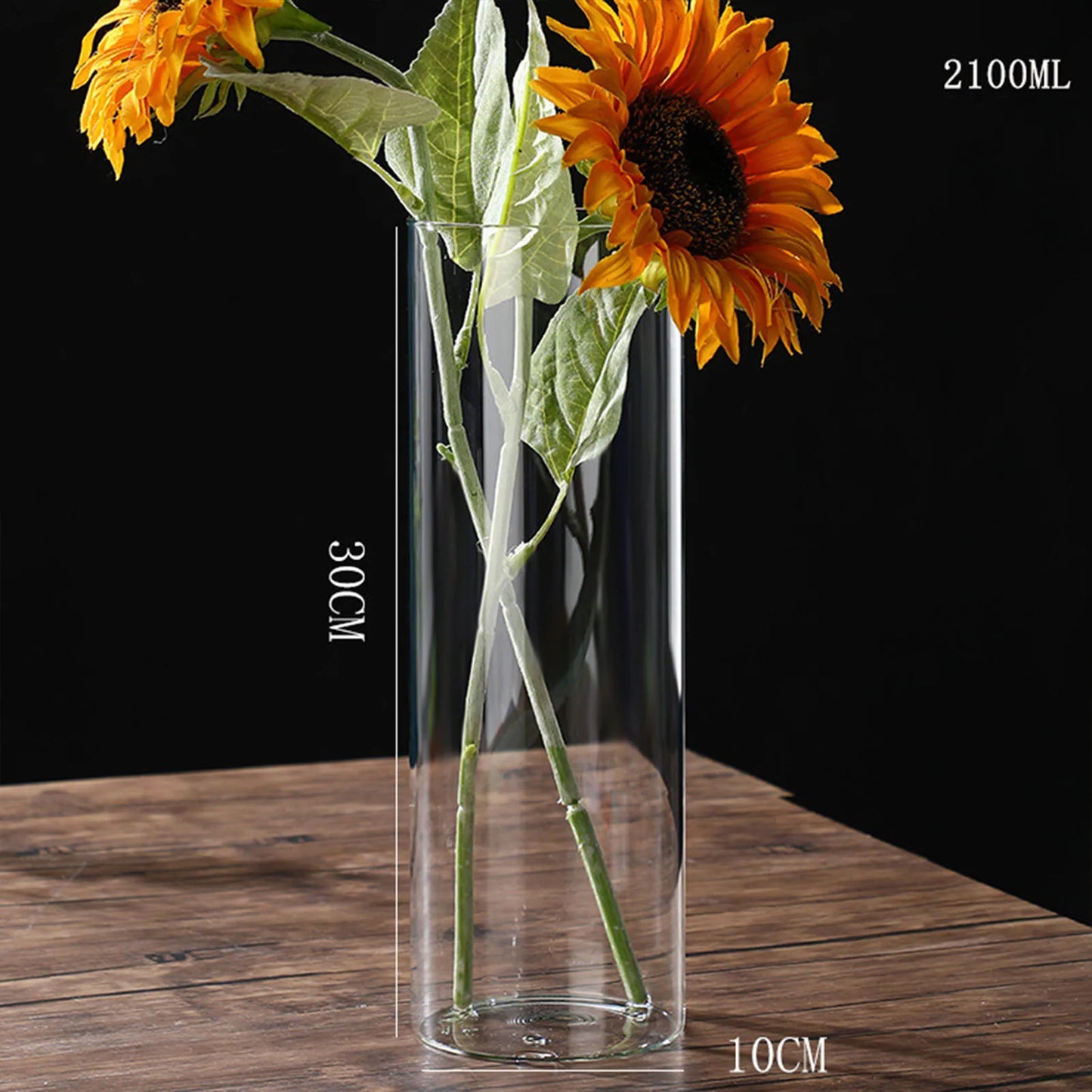 Transparente Glas-Hydrokulturvase Zylinderform für Blumen und Deko