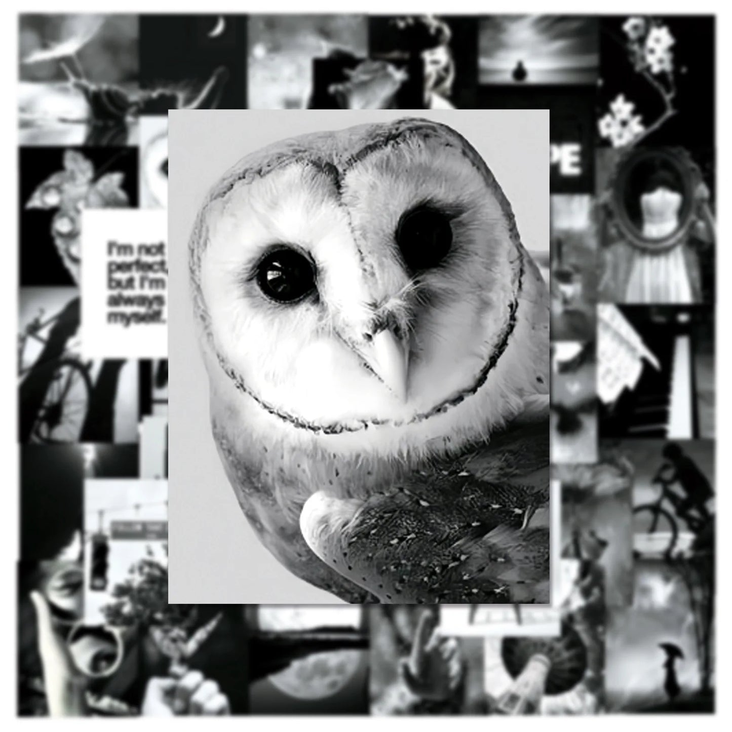 Wasserdichte schwarze Sticker für DIY Dekor, flexibel - wiederverwendbar