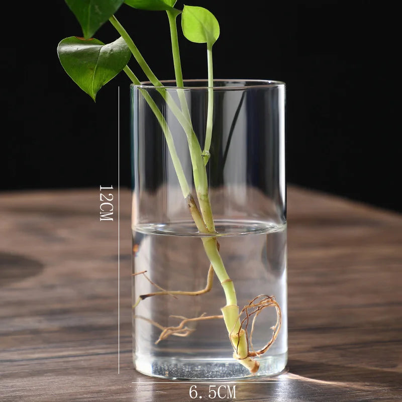 Transparente Glas-Hydrokulturvase Zylinderform für Blumen und Deko