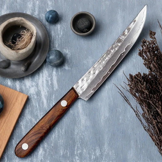 67 Lage geschmiedetes Damaskus Stahl Steakmesser mit Massivholzgriff