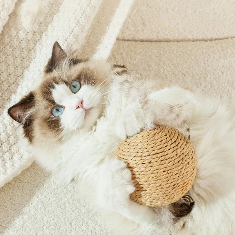 Katze Spielzeug Sisal Ball 10cm mit Sound für Beschäftigung - Krallenpflege