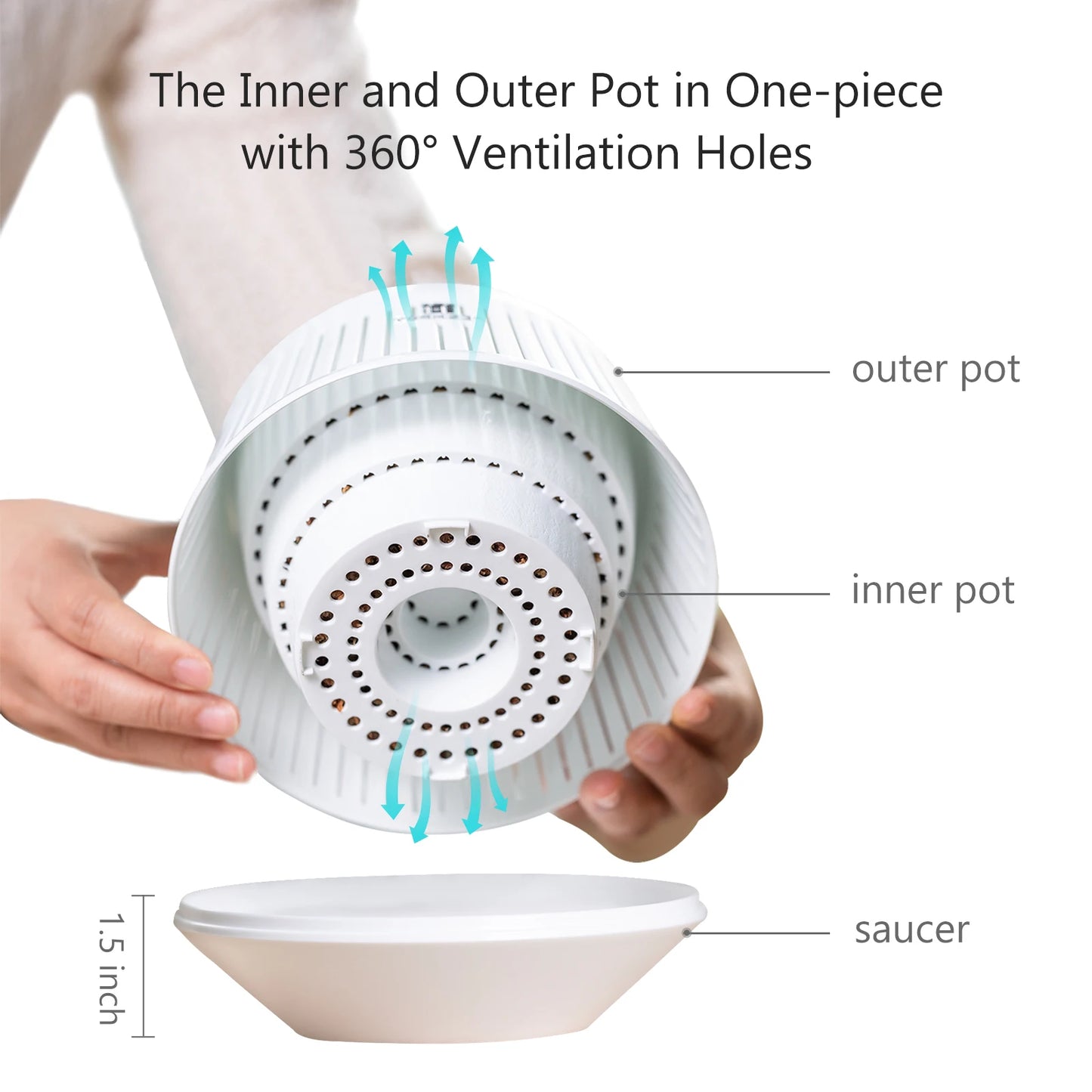 Dekorativer Pflanztopf für Orchideen und Zimmerpflanzen mit Wurzelkontrolle