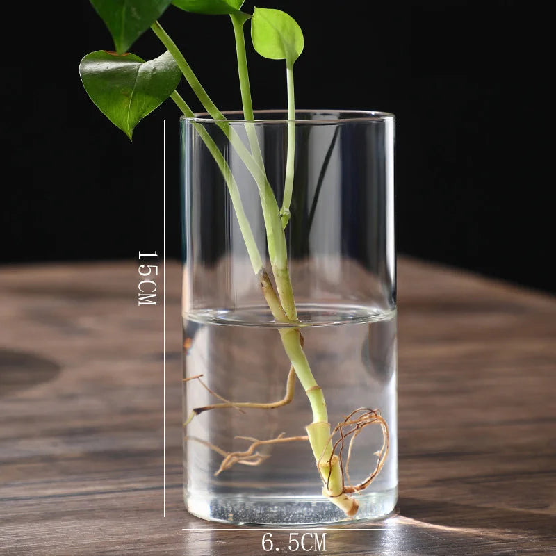 Transparente Glas-Hydrokulturvase Zylinderform für Blumen und Deko