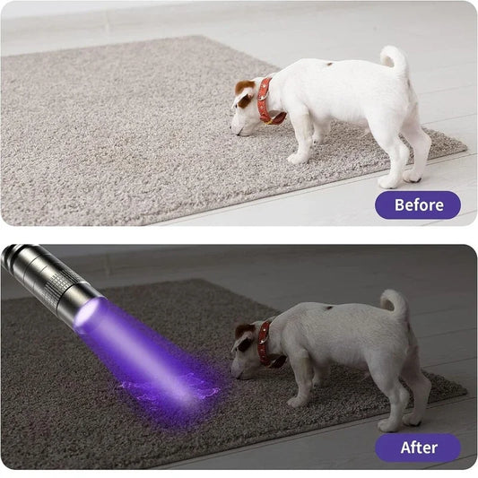Kompakte 395nm UV Taschenlampe für Urin Skorpion Detektor mit Clip
