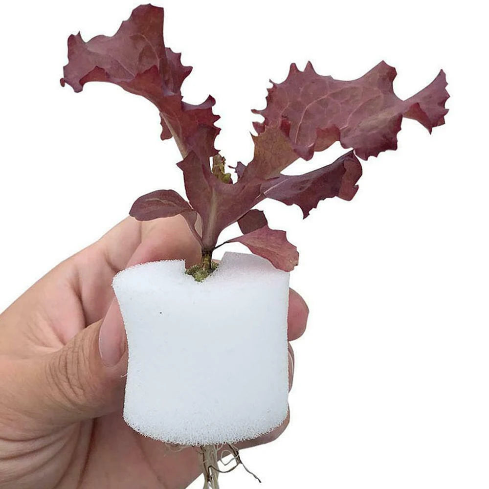 50 Pflanzennetzbecher und 50 Zylinderschwämme für Hydrokultur Aquaponik