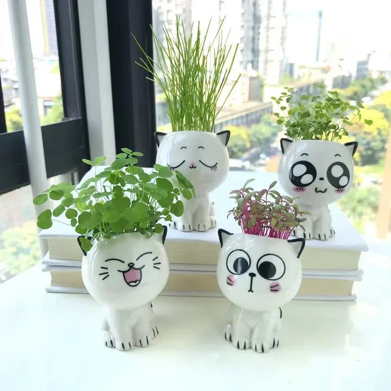 Niedlicher Keramik Mini Blumentopf Katze Cartoon für Schreibtisch Dekoration