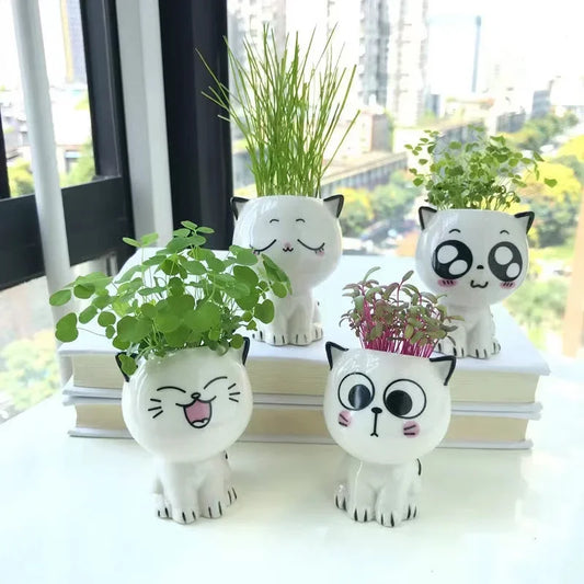 Niedlicher Keramik Mini Blumentopf Katze Cartoon für Schreibtisch Dekoration