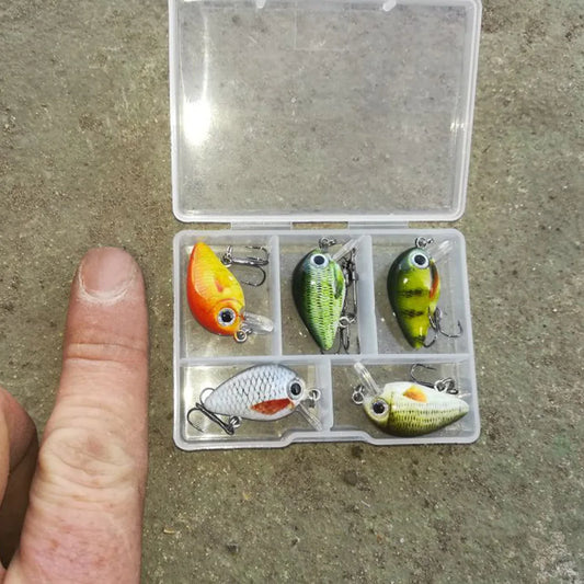 5 Mini Schwimmköder 3cm 1,5g Wobbler Köder für Süßwasser Angeln