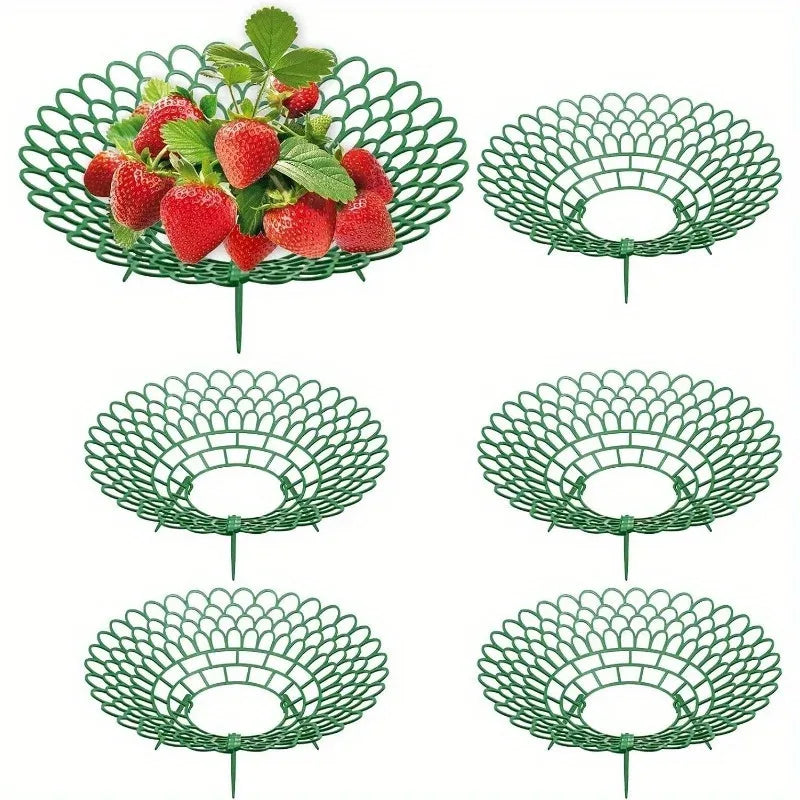 5er Set Erdbeerständer mit 3 stabilen Beinen Pflanzenstütze für Garten