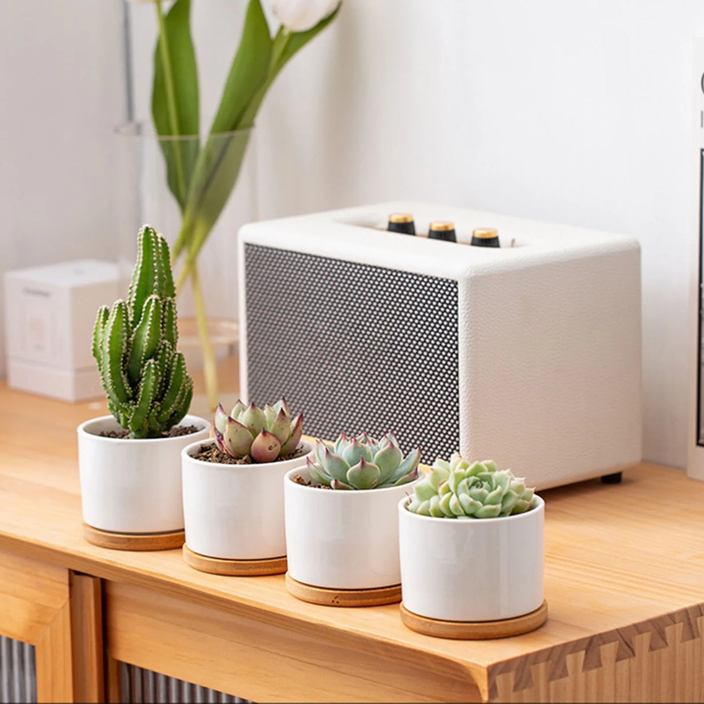 Eleganter Mini Blumentopf aus Kunststoff für Sukkulenten am Schreibtisch