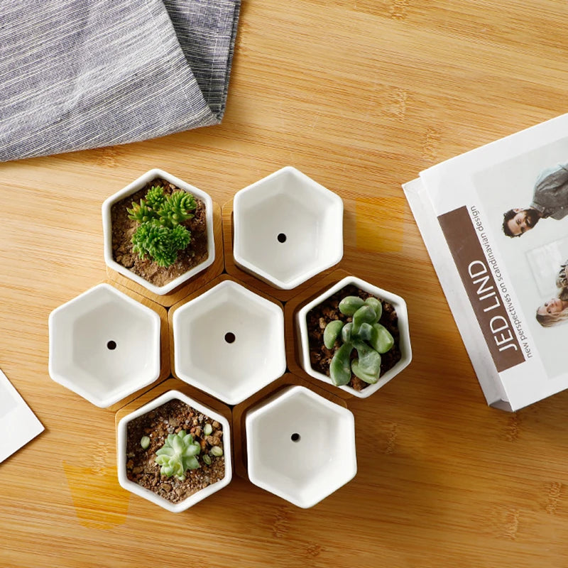 Eleganter Keramik Blumentopf mit Tablett für Sukkulenten und Bonsai