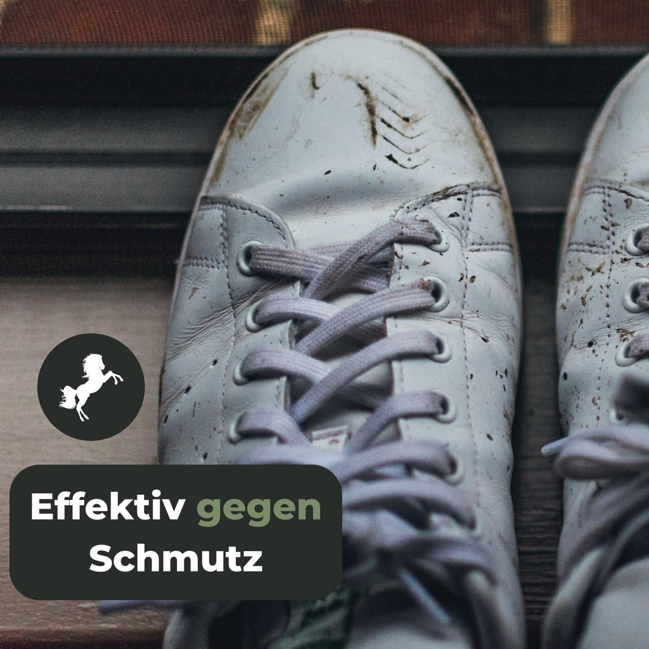 Schuhbürste mit Rosshaar Borsten für Sneaker und Lederreinigung