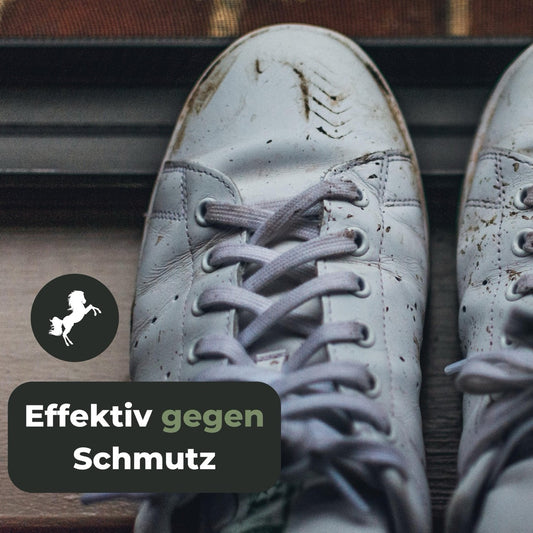 Schuhbürste mit Rosshaar Borsten für Sneaker und Lederreinigung