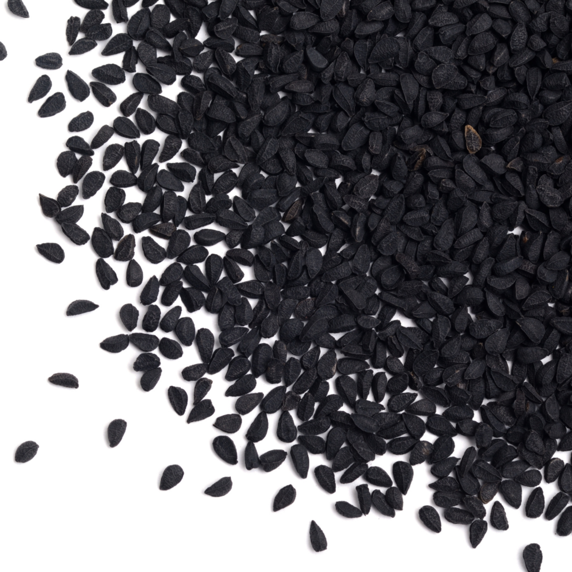 Schwarzkümmel Pferd 1kg