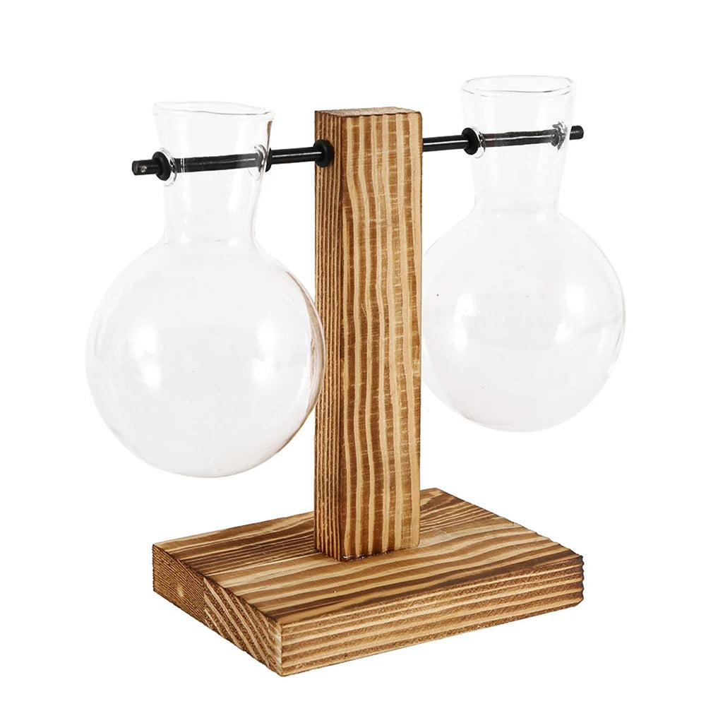 Modernes Hydrokultur Pflanzgefäß Holz Glas für Tischdekoration