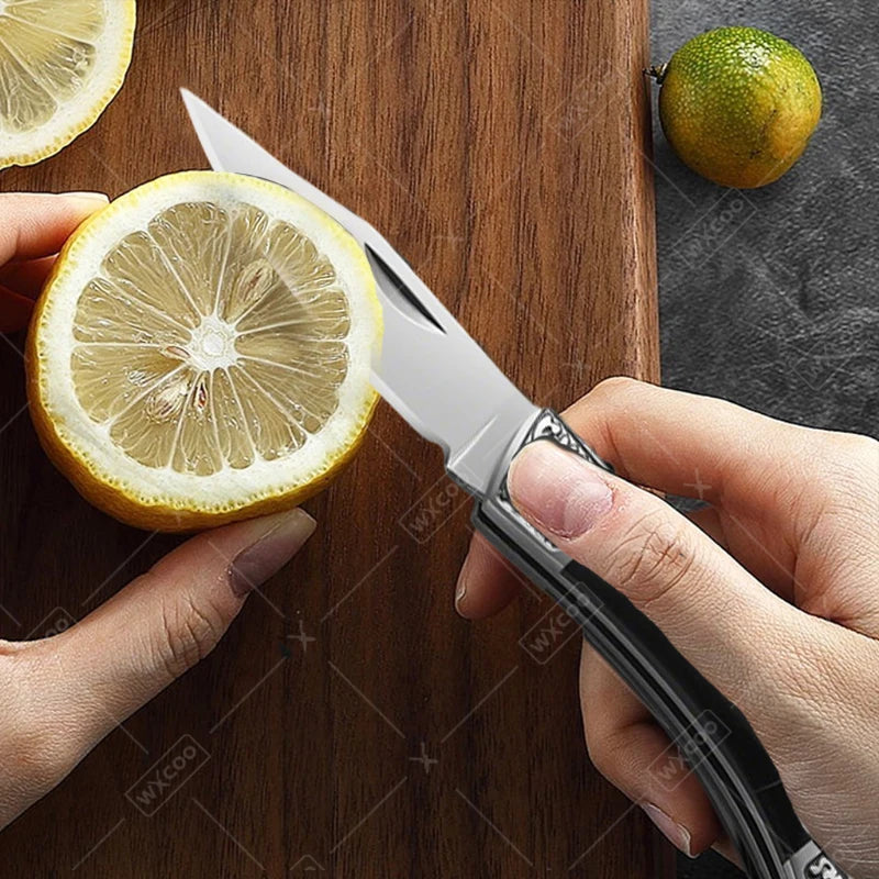 Edelstahl Santoku Küchenmesser Set mit Fischschere und scharfer Klinge