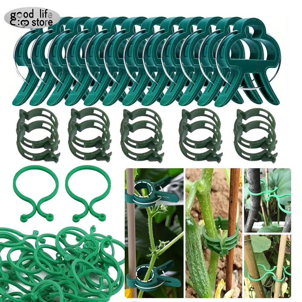 20 Gartenklammern für Pflanzenstütze – Ideal für Tomaten und Gemüse