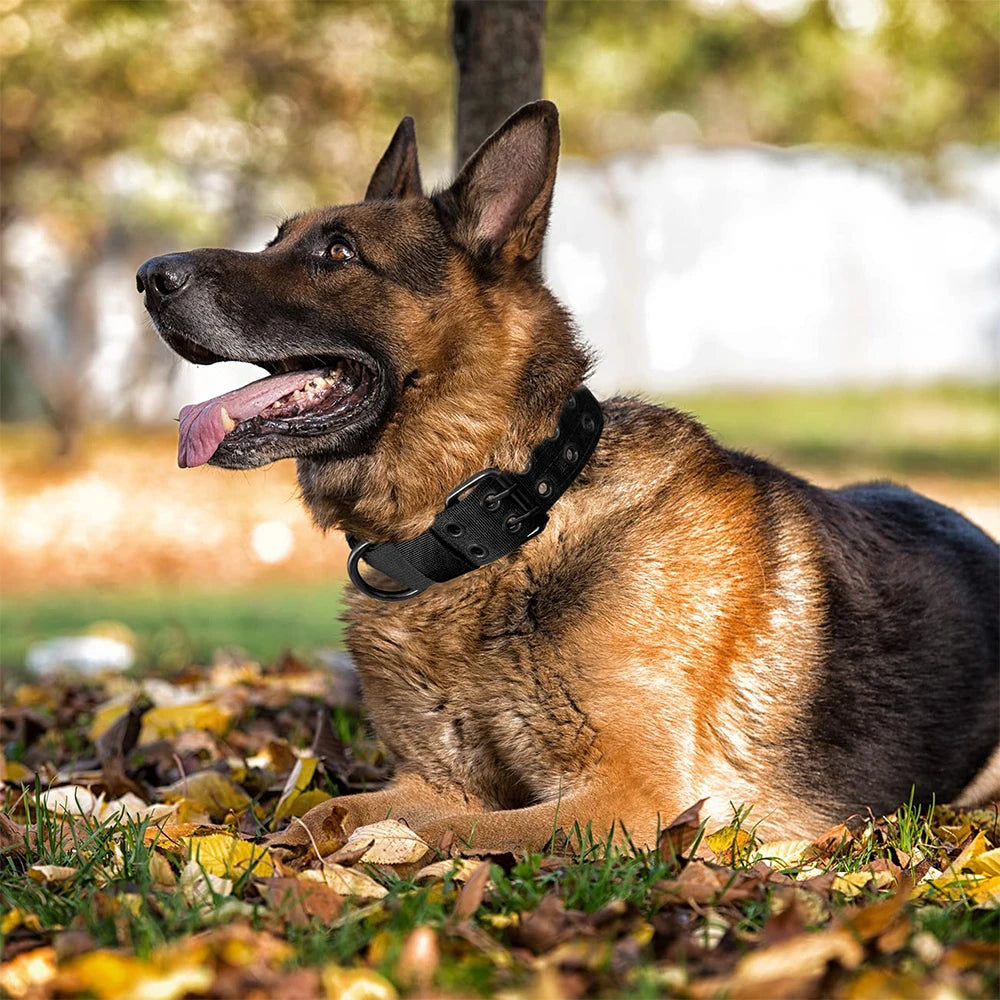 Taktisches Nylon Hundehalsband für Training und Outdoor