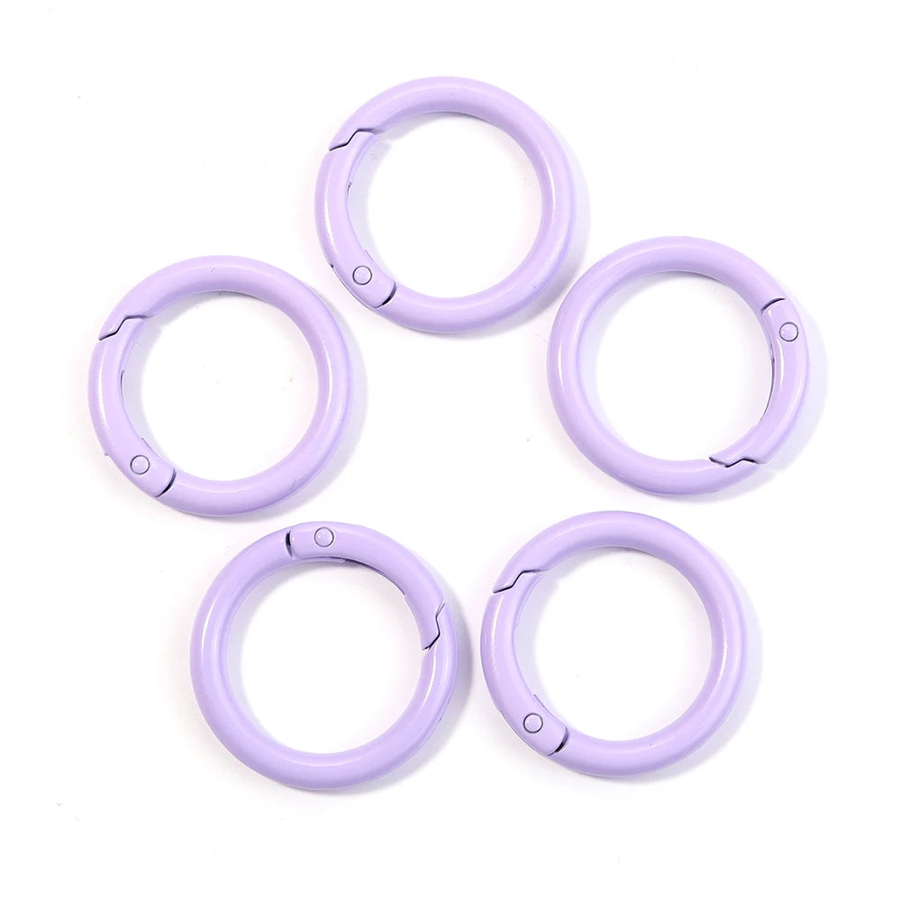 5-10Pcs Metall O-Ring Karabinerclips 25/35/41mm mit Federverschluss