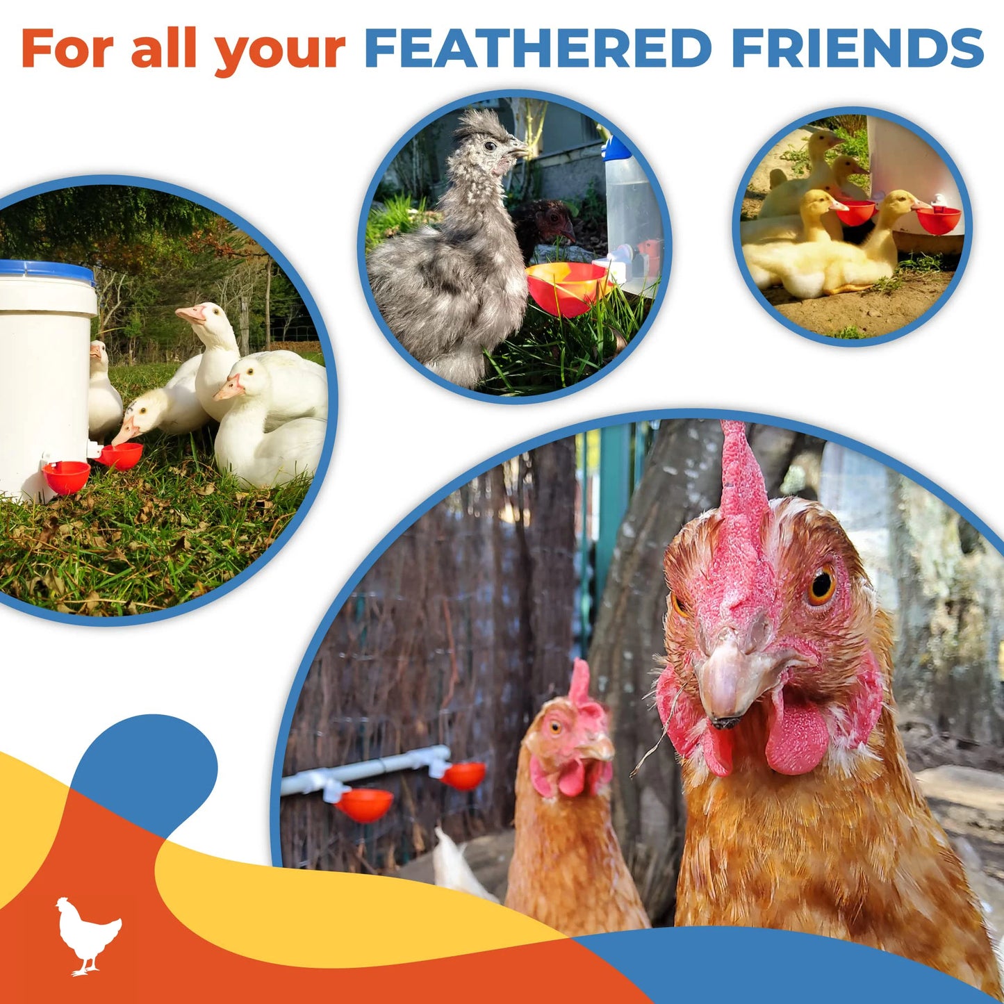 Automatische Trinkbecher für Huhn Ente 5-20 Stück Kunststoff Geflügelfutter