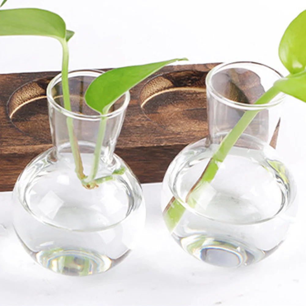 Modernes Hydrokultur-Pflanzengefäß mit Glasvase und Holzständer