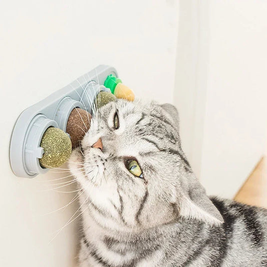 4-in-1 rotierendes Katzenminze-Spielzeug zur Zahnreinigung und Beschäftigung - Yabubest - Home & More