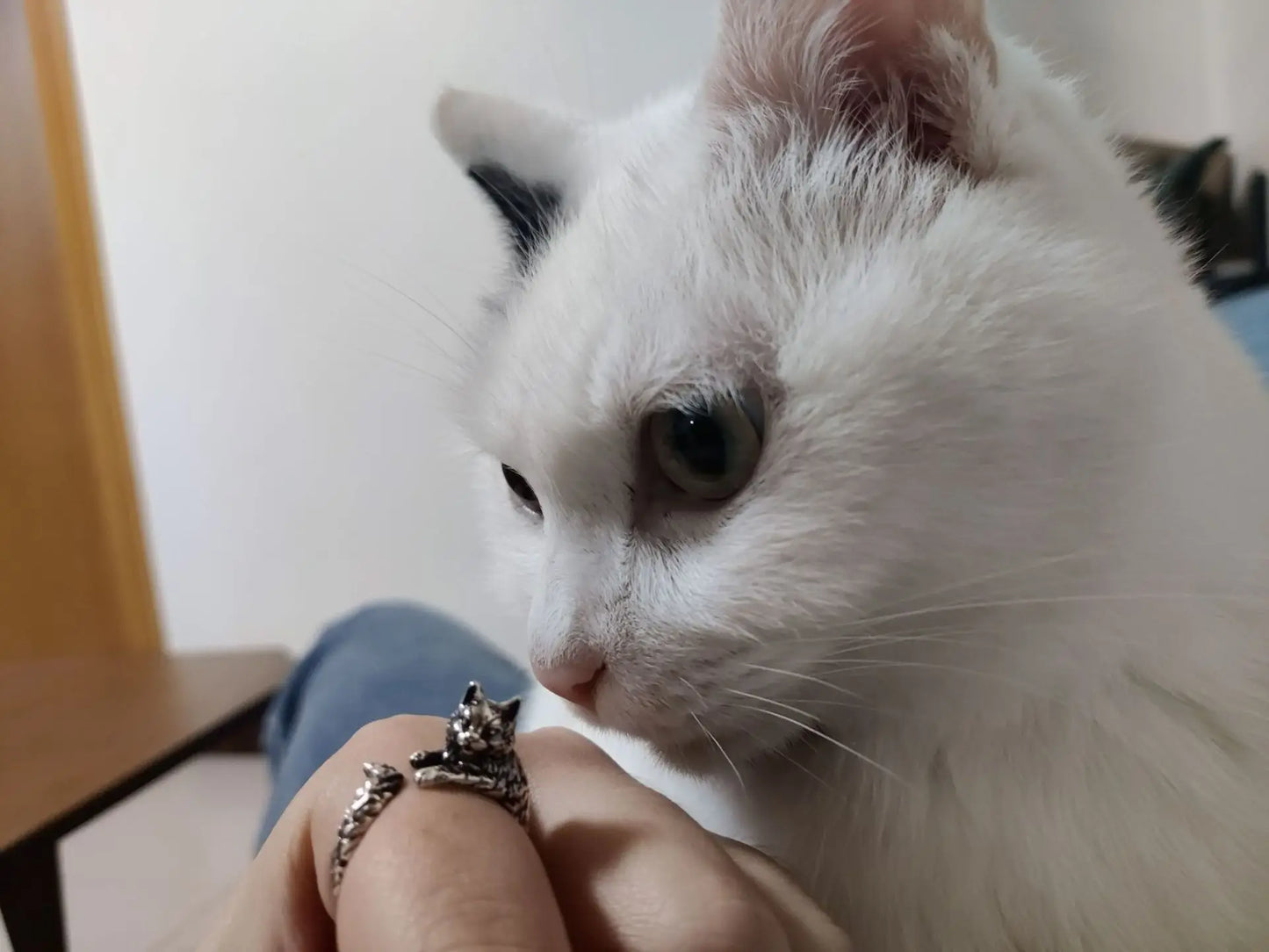 Verstellbarer Vintage Tiermotiv Ring Unisex für Gothic Fans