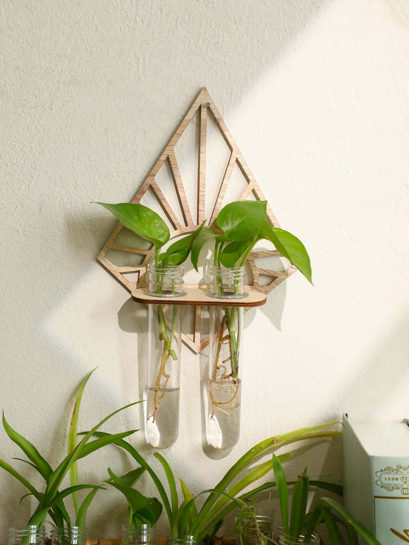 Wandmontierte Vermehrungsstation aus Holz für Hydrokultur Pflanzen