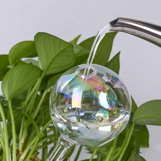 Selbstbewässernde Glas-Kugeln für Pflanzen – 2-6 Stück, Pflegeleicht - Effektiv