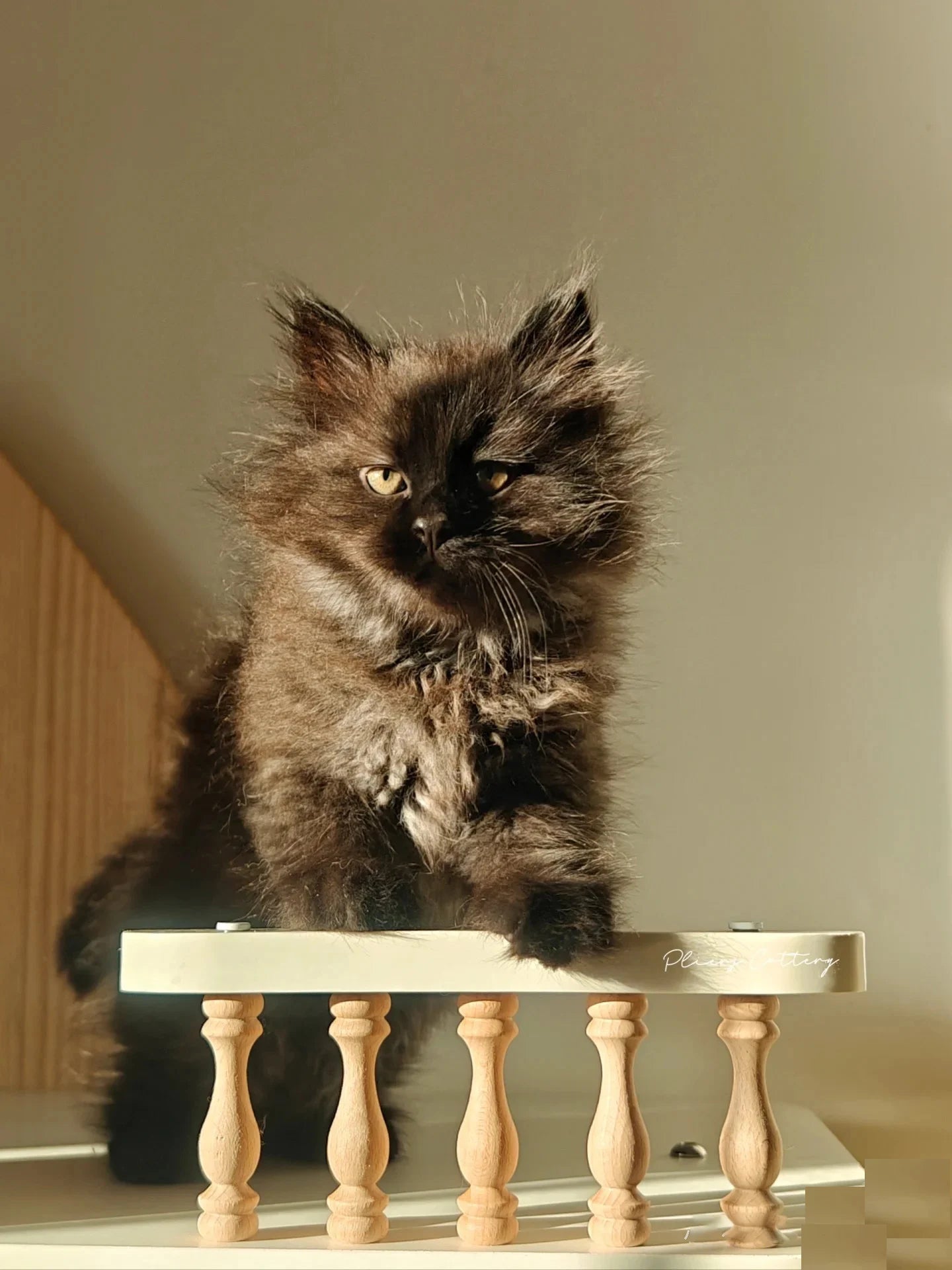 Holzapplikation Spindel Säule Dekoration für Möbel und Heim