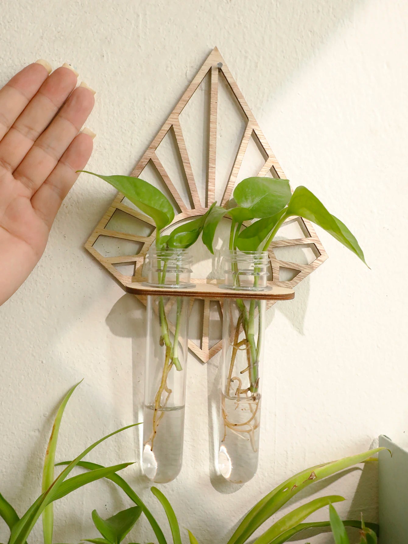 Wandmontierte Vermehrungsstation aus Holz für Hydrokultur Pflanzen